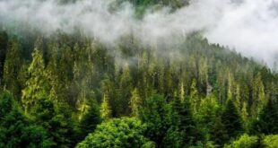 باحثون صينيون يقدمون أدلة أساسية لفهم التفاعلات الهيدرولوجية في التربة الصقيعية