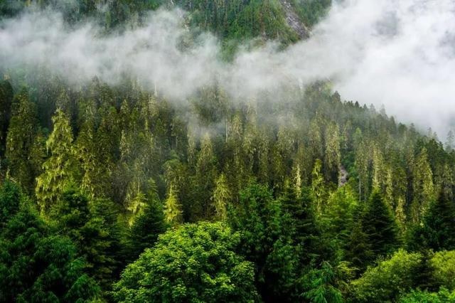 باحثون صينيون يقدمون أدلة أساسية لفهم التفاعلات الهيدرولوجية في التربة الصقيعية