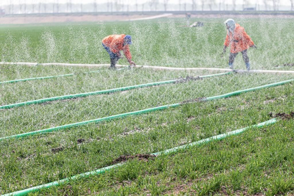 الزراعة الربيعية في شرقي الصين