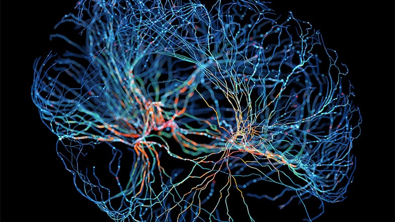 باحثون صينيون يبتكرون شبكة عصبية لنمذجة تكوين المفاهيم البشرية