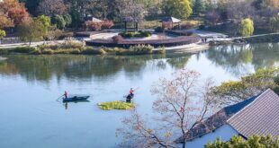 البيئة الجيدة: المعيار الأساسي للسعادة