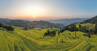 مناظر ربيعية خلابة في مقاطعة يوننان بجنوب غربي الصين