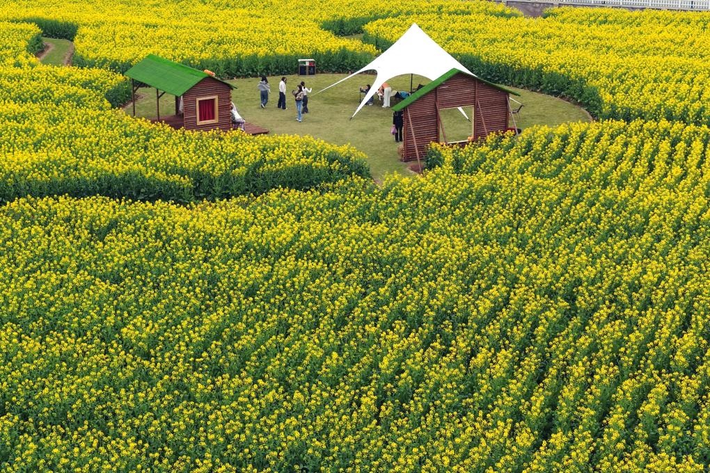 السياحة في الربيع بالصين