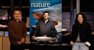 حفريات لأسماك صينية قديمة تملأ فجوة حرجة في تطور "الأسماك إلى الإنسان"