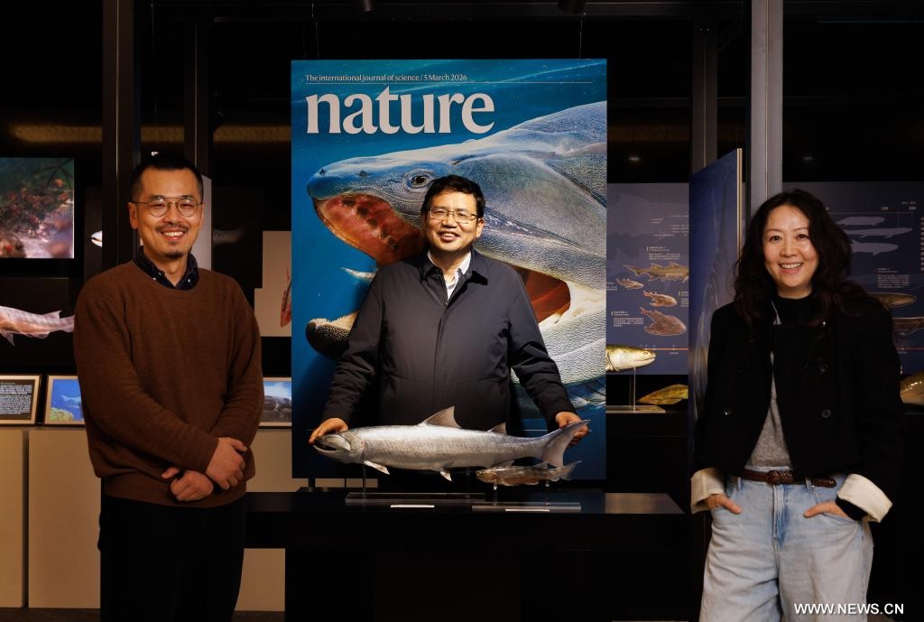 حفريات لأسماك صينية قديمة تملأ فجوة حرجة في تطور "الأسماك إلى الإنسان"