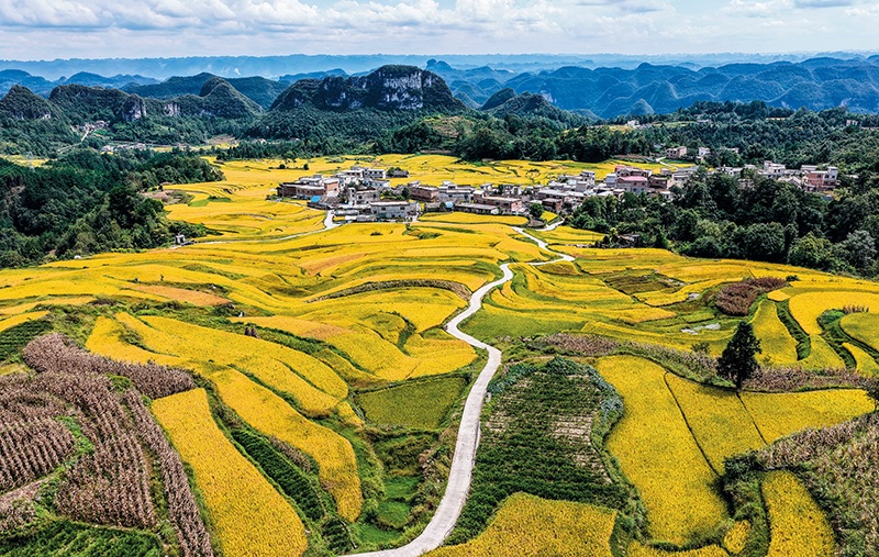 الصين تكثف جهودها لتعزيز إمدادات المياه في المناطق الريفية