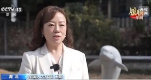 وانغ تشيونغ