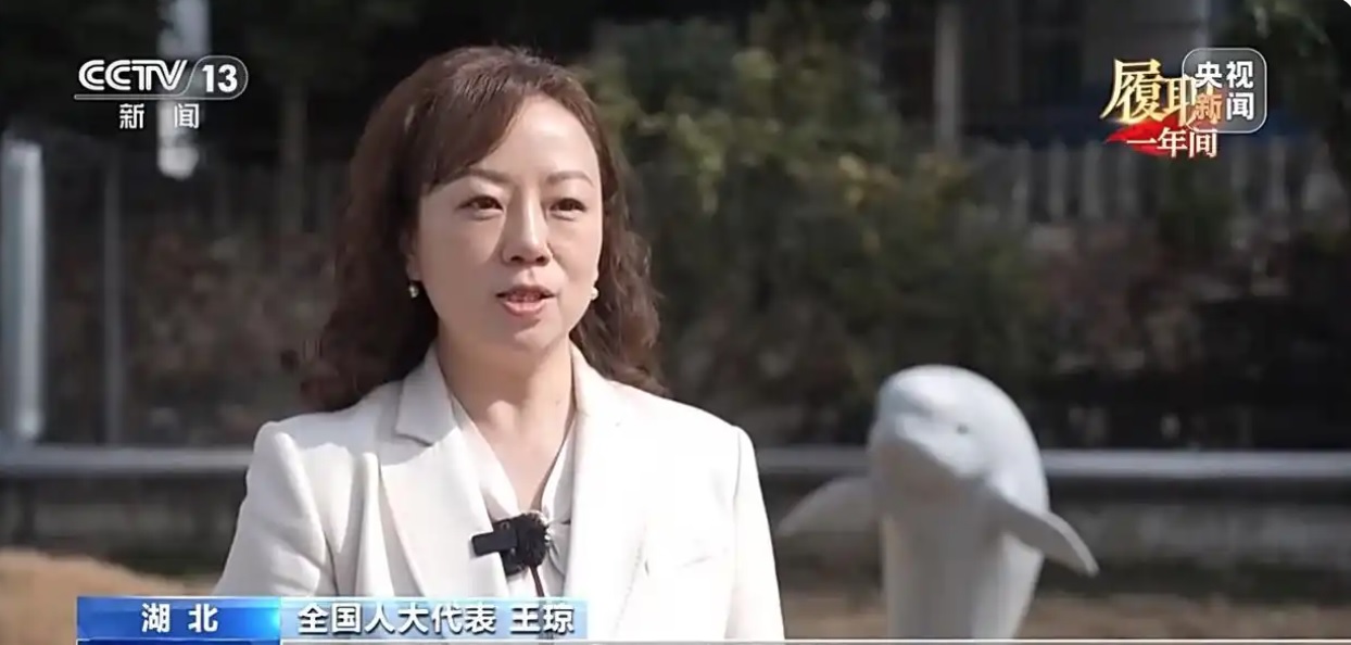 من حماية "ابتسامة نهر اليانغتسي" إلى الدعوة إلى النقل البحري الأخضر: خطواتها تلامس نقاء مياه النهر