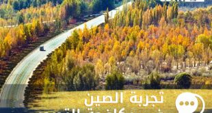 متابعو CGTN العربية: الصين دولة لا تعرف المستحيل