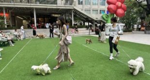 "الجيل زد" في الصين يعيد تشكيل استهلاك منتجات الحيوانات الأليفة