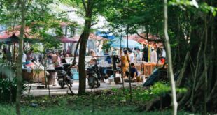 مشرع صيني: تحويل خصائص الحياة في المناطق الحدودية إلى قوة دافعة قوية للنهوض بالريف