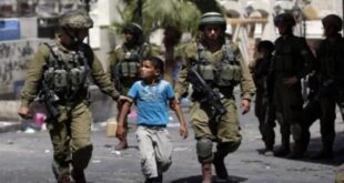 الاحتلال يعتقل طفلين من بلدة بيت أمر شمال الخليل