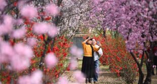 مناظر ربيعية خلابة في الصين