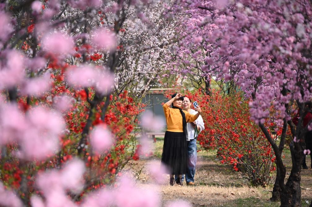 مناظر ربيعية خلابة في الصين