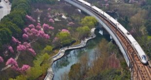 الصين تسجل ارتفاعا قياسيا في الرحلات بين المناطق خلال موسم ذروة السفر لعيد الربيع