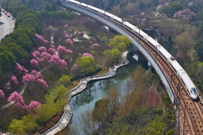 الصين تسجل ارتفاعا قياسيا في الرحلات بين المناطق خلال موسم ذروة السفر لعيد الربيع