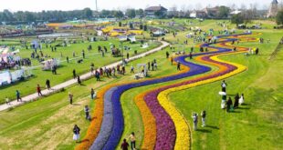 جماهير تستمتع بالأزهار في الحدائق في الصين