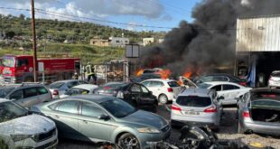 سلسلة هجمات للمستعمرين شمال غرب نابلس: إحراق مشطب ومركبات في دير شرف وخيمة في المسعودية