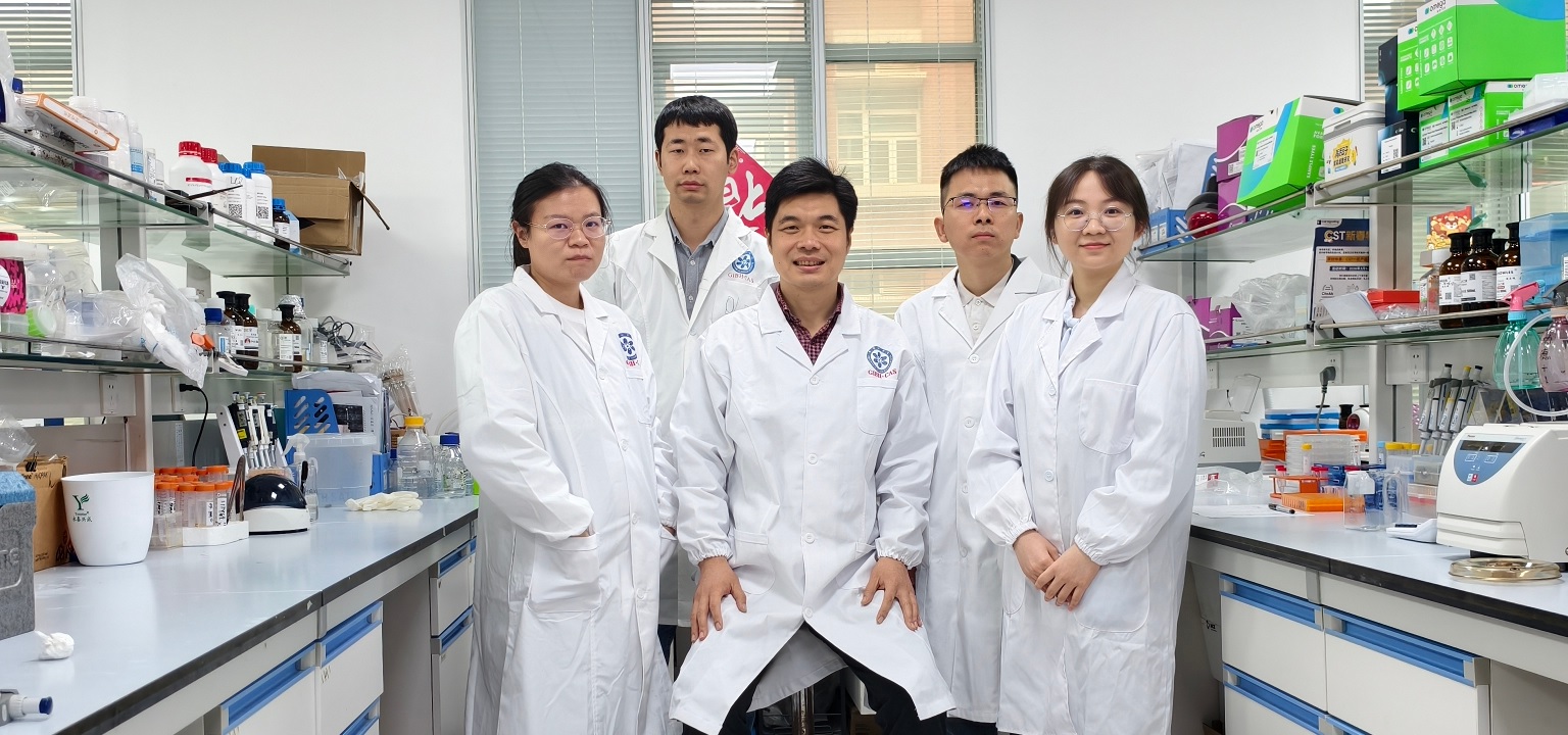 باحثون صينيون يطورون علاجا جديدا للأمراض الرئيسية يعتمد على زراعة الميتوكوندريا