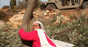 بيان صحفي صادر عن وزارة شؤون المرأة الفلسطينية بمناسبة يوم الأرض 30 آذار 2026