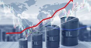 تعليق شينخوا: ما الذي تخبرنا به طفرة مبيعات مركبات الطاقة الجديدة في ظل ارتفاع أسعار النفط