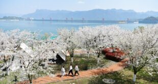 مناظر ربيعية في الصين