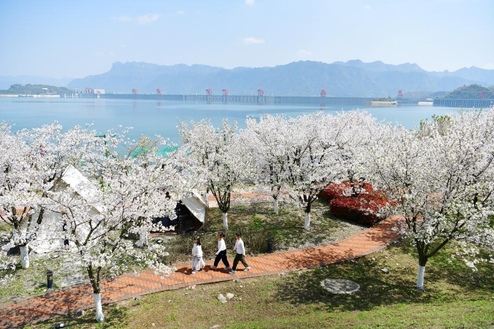 مناظر ربيعية في الصين