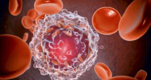 علماء صينيون يطورون "جسر جزيئي" لتحسين علاج السرطان