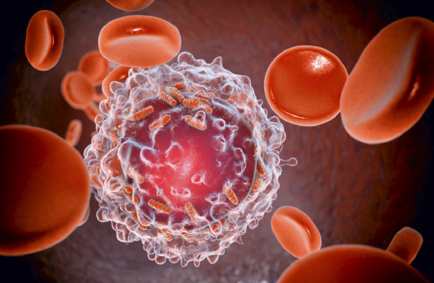 علماء صينيون يطورون "جسر جزيئي" لتحسين علاج السرطان