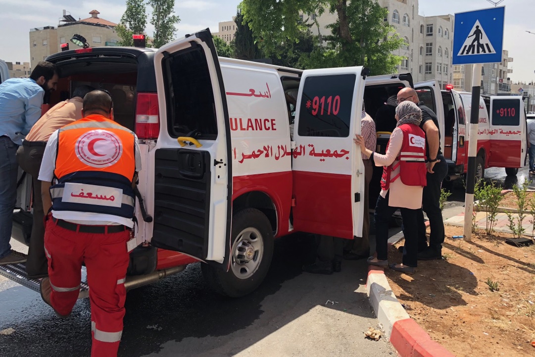 إصابة 4 أطفال بعضات كلب ضال في بديا غرب سلفيت