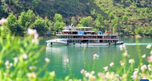 أهالي تايوان الصينية يعودون إلى جذورهم في البر الرئيسي بمناسبة عيد كنس المقابر