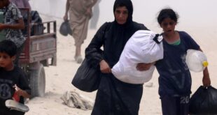 وزيرة شؤون المرأة ترحب بتقرير هيئة الأمم المتحدة للمرأة بعنوان مذكرة مناصرة “تكلفة الحرب في غزة على النساء والفتيات”