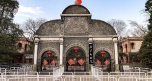 الصين تطلق خدمة محسنة لنقل الحيوانات الأليفة على متن القطارات فائقة السرعة