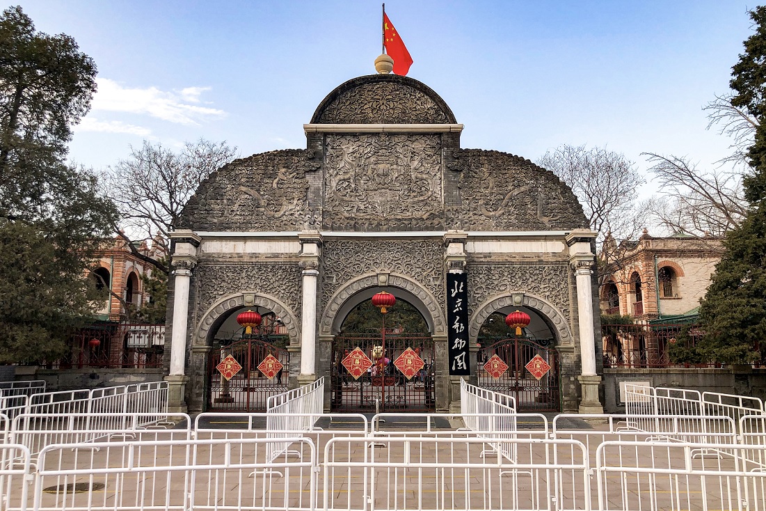 الصين تطلق خدمة محسنة لنقل الحيوانات الأليفة على متن القطارات فائقة السرعة