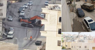 تجريف أرض واقتلاع أشجار في المنطقة الجنوبية لمدينة الخليل