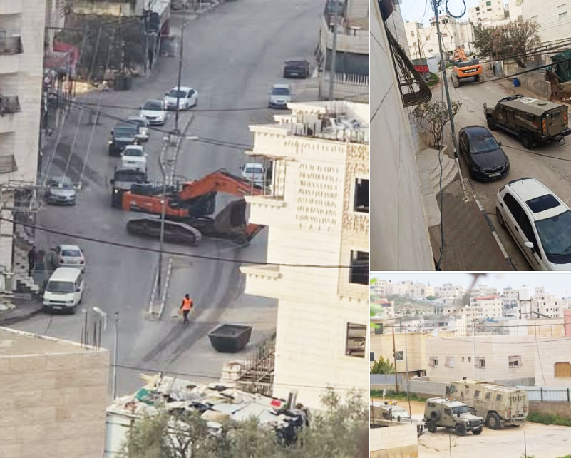 تجريف أرض واقتلاع أشجار في المنطقة الجنوبية لمدينة الخليل