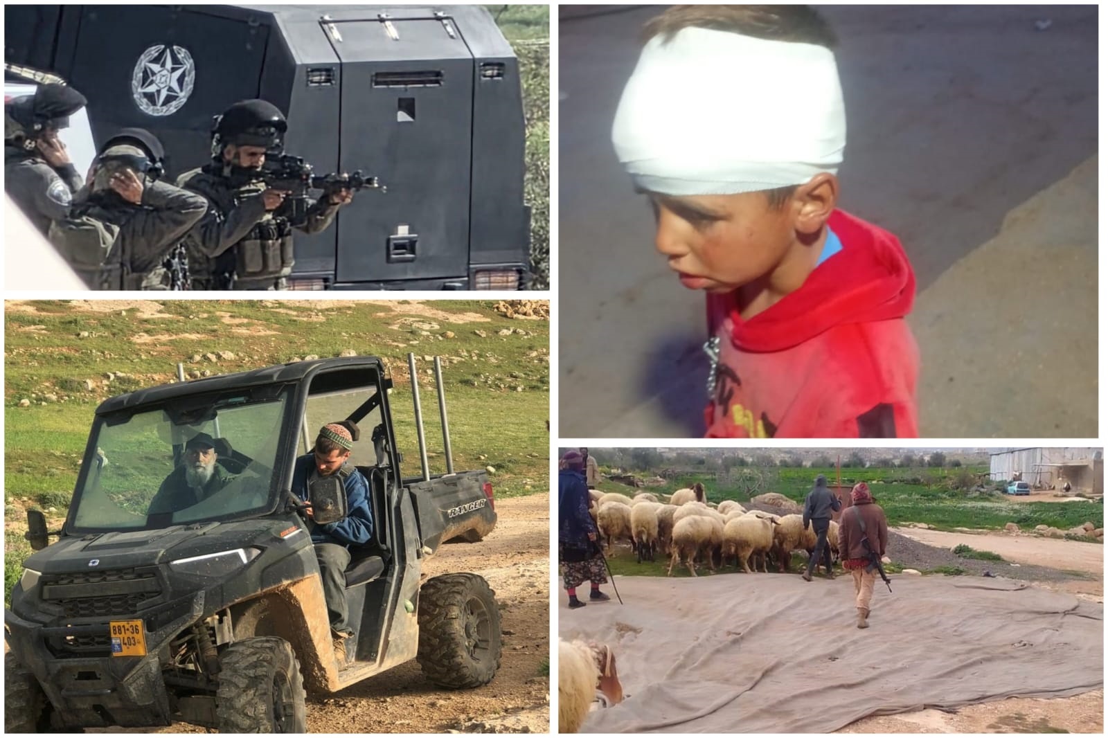 إصابة طفل وشاب وسرقة رؤوس ماشية في هجوم للمستوطنين على مسافر يطا جنوب الخليل