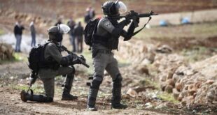 إصابة عاملين برصاص الاحتلال واعتقال 3 آخرين في واد الحمص جنوب شرق القدس