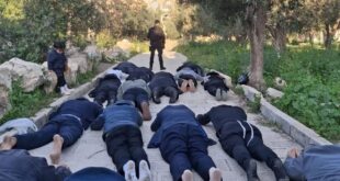 مستوطنون يقتحمون المسجد الأقصى ويؤدون السجود الملحمي