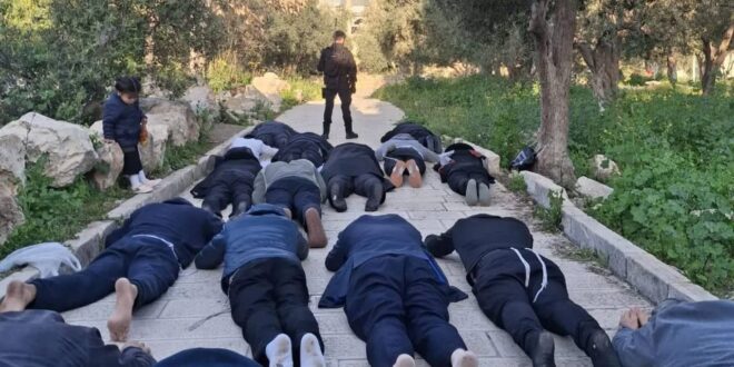 مستوطنون يقتحمون المسجد الأقصى ويؤدون السجود الملحمي