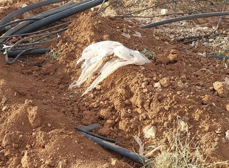 الاحتلال يدمر خطوطا ناقلة للمياه شرق طمون جنوب طوباس