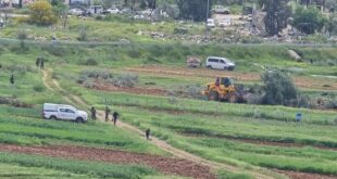 لليوم الثاني.. الاحتلال يقتلع عشرات الأشجار المثمرة في اللبن الشرقية جنوب نابلس