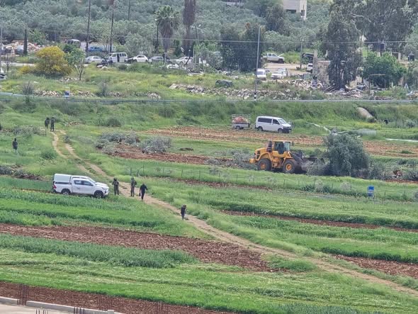 لليوم الثاني.. الاحتلال يقتلع عشرات الأشجار المثمرة في اللبن الشرقية جنوب نابلس