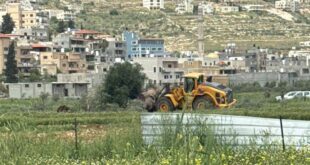 الاحتلال يقتلع عشرات الأشجار المثمرة في اللبن الشرقية