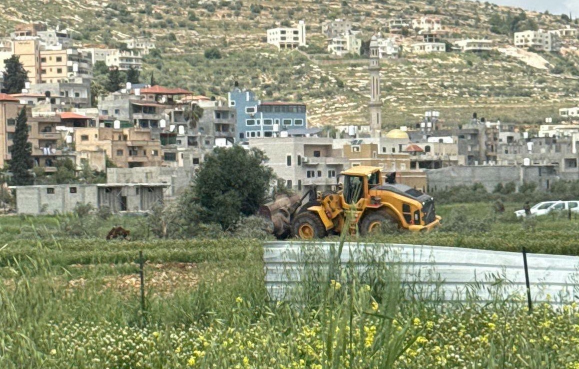 الاحتلال يقتلع عشرات الأشجار المثمرة في اللبن الشرقية