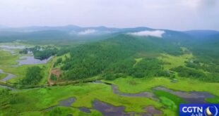 الصين: التزام راسخ بحماية البيئة الطبيعية والتنمية الخضراء