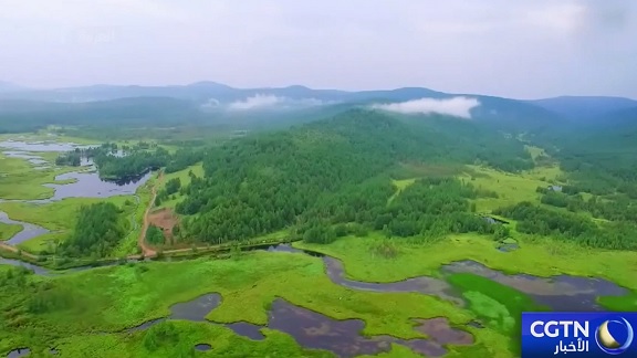 الصين: التزام راسخ بحماية البيئة الطبيعية والتنمية الخضراء