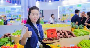 بدعم لوجستي وسياساتي.. المنتجات الزراعية والغذائية العربية المميزة تدخل السوق الصينية بسهولة أكبر