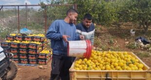 وزير الزراعة يعلن إنجاز الاعتماد الرسمي للمنتجات الفلسطينية في السوق السعودي