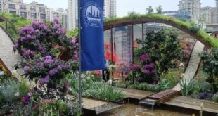 إطلاق حديقة هامبورغ في معرض شانغهاي الدولي للزهور 2026